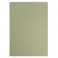 Бумага для пастели GRAFART 270г/кв.м (А3) 297х420мм цв.№707 зеленый эвкалипт