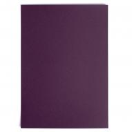 Бумага для пастели GRAFART 270г/кв.м (А3) 297х420мм цв.№712 фиолетовый