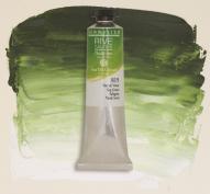 Краска масляная RIVE GAUCHE цв.№819 травяной зеленый туба 40мл