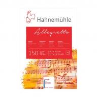 Альбом для акварели ALLEGRETTO 150г/кв.м (А3) 297х420мм 10л. по 1 024.00 руб от Hahnemuhle