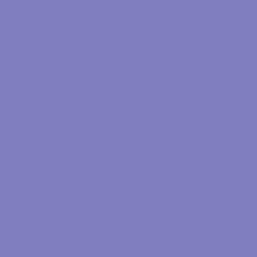 Краска по шелку DECOLA цв.№607 фиолетовый банка 50мл по 89.00 руб от ЗХК Невская палитра