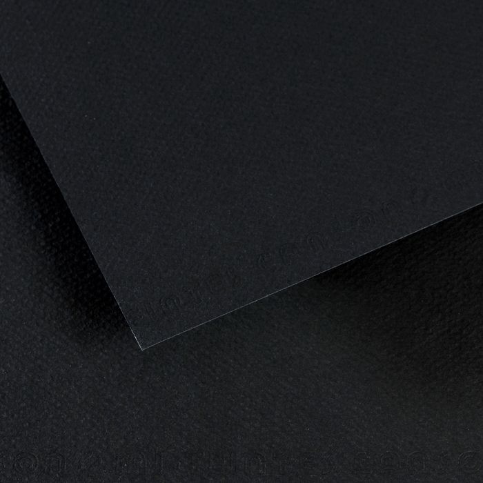 Бумага для пастели MI-TEINTES 160г/кв.м 750х1100мм цв.№425 черный по 334.00 руб от Canson