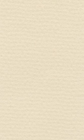 Бумага пастельная COLOURS 160г/кв.м (А3) 297х420мм цв.№180 слоновая кость по 77.00 руб от Lana