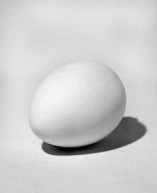 Гипсовая фигура яйцо, 14х20см по 209.00 руб от Статуя