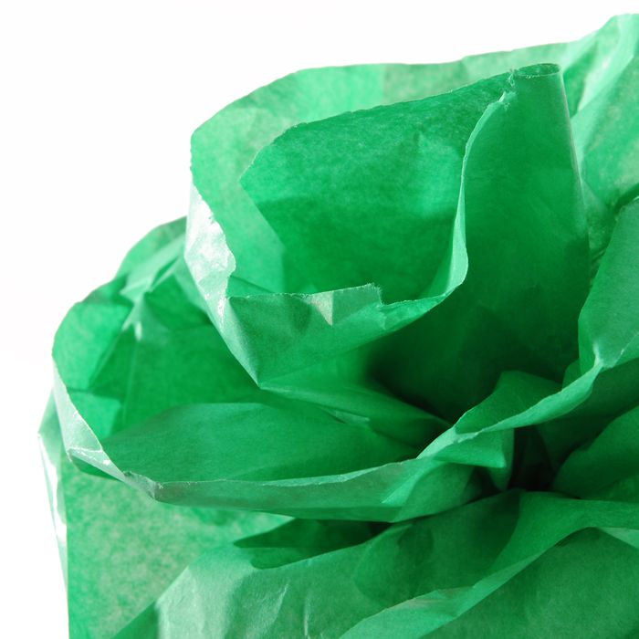 Бумага тишью цветная PAPIER de SOIE 20г/кв.м 500х5000мм в рулоне цв.№021 ярко зеленый по 99.00 руб от Canson