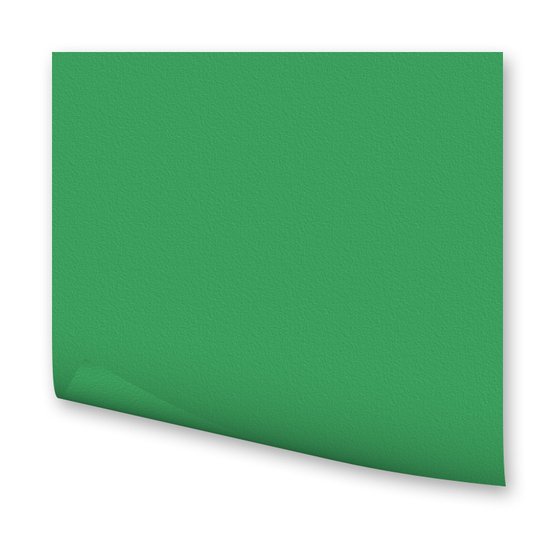 Бумага цветная 300г/кв.м 500х700мм зеленый изумруд по 118.00 руб от Folia Bringmann