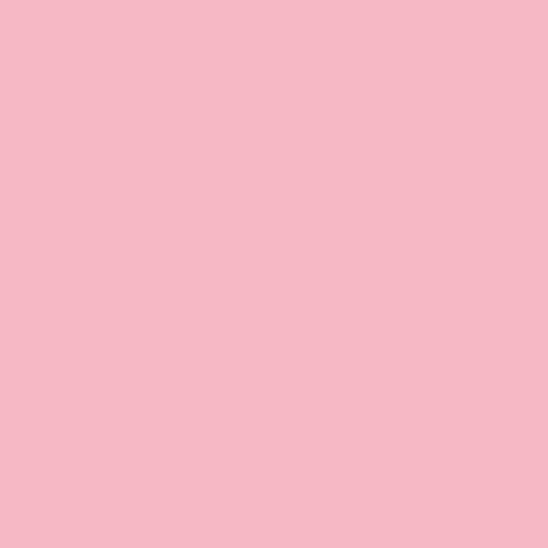 Краска для граффити MONTANA цв.№3100 нежно-розовый аэрозоль 400мл по 589.00 руб от L&G Vertriebs