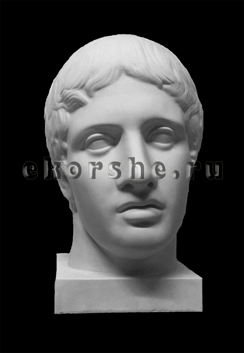 Голова Дорифора 21х29х35см гипс скульптурный по 1 600.00 руб от Мастерская Экорше