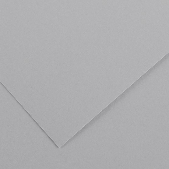 Бумага цветная 300г/кв.м (А4) 210х297мм светло-серый по 29.00 руб от Folia Bringmann