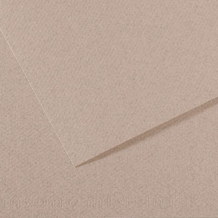 Бумага для пастели MI-TEINTES 160г/кв.м 500х650мм цв.№426 светло-серый по 132.00 руб от Canson