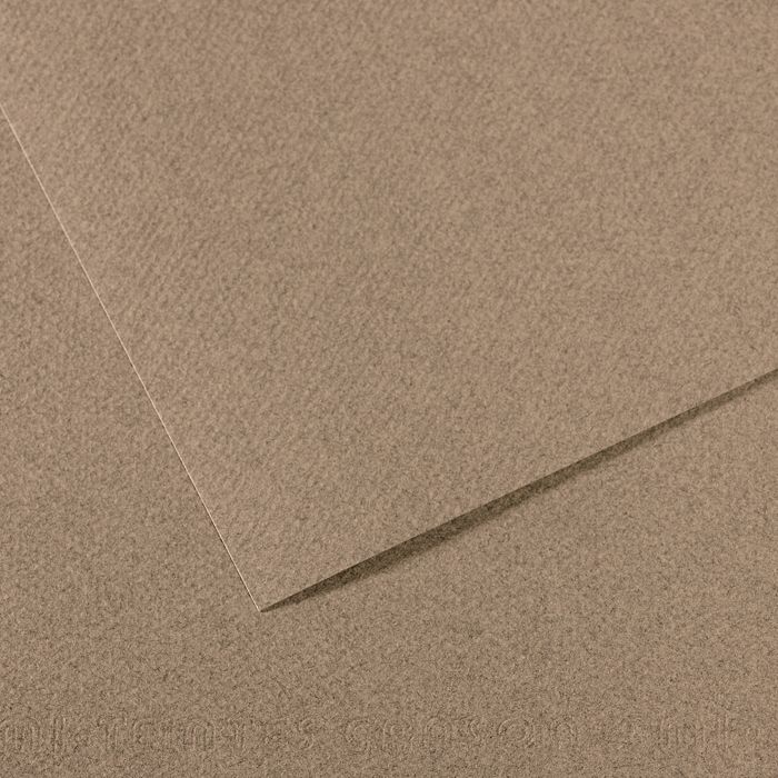 Бумага для пастели MI-TEINTES 160г/кв.м 750х1100мм цв.№431 серый с разводами по 260.00 руб от Canson