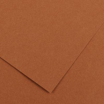 Бумага цветная IRIS VIVALDI 240г/кв.м (А4) 210х297мм цв.№33 ореховый по 29.00 руб от Canson
