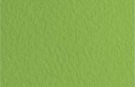 Бумага для пастели TIZIANO 160г/кв.м (А4) 210х297мм цв.№14 зеленый мох