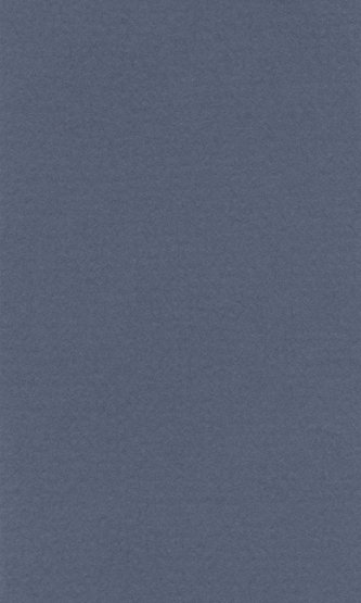Бумага пастельная COLOURS 160г/кв.м 700х1000мм цв.№570 темно-синий по 308.00 руб от Lana