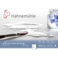 Альбом для акварели HARMONY 300г/м.кв (А4) 210х297мм 12л. крупное зерно склейка по 1 081.00 руб от Hahnemuhle