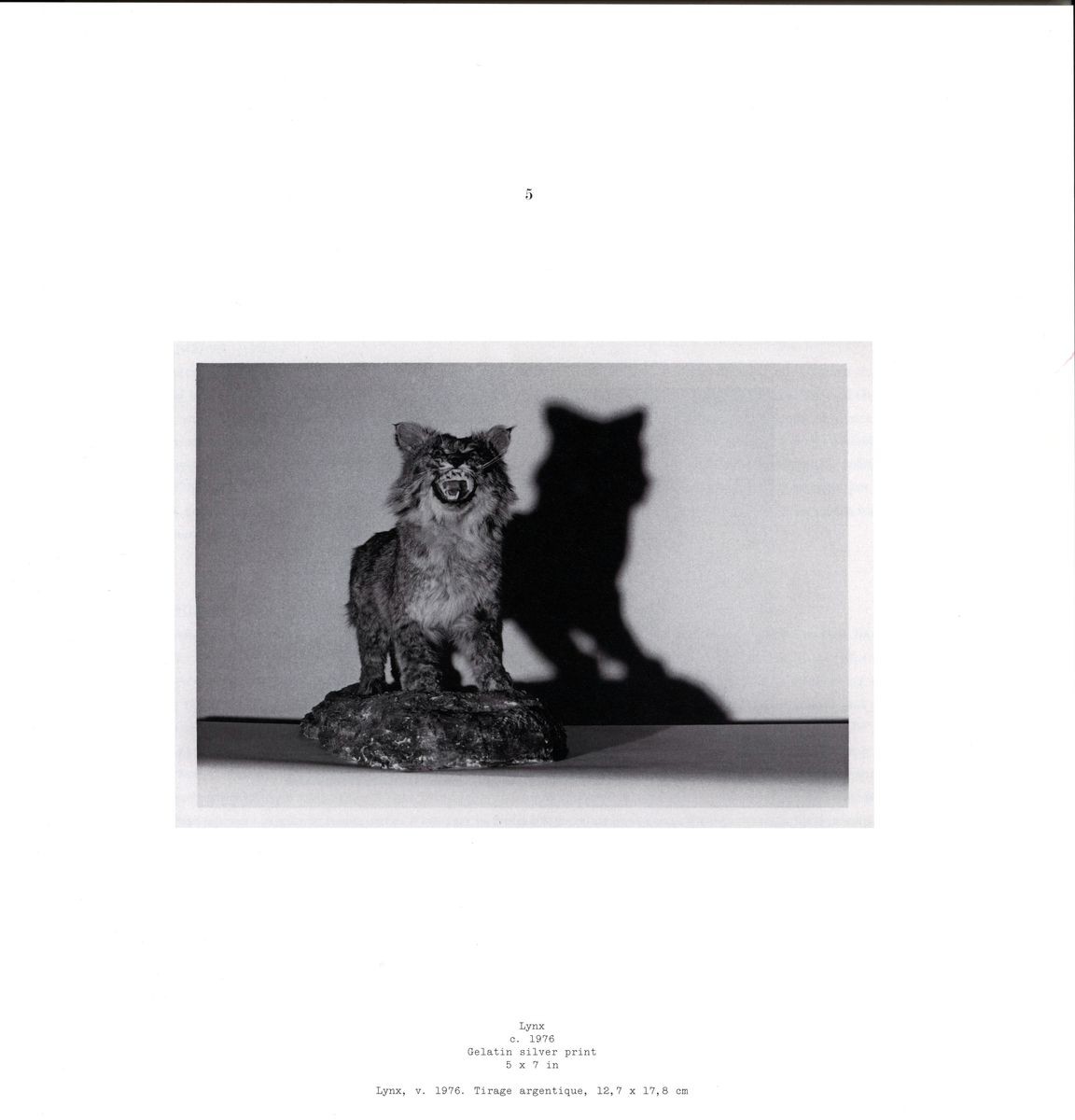 Andy Warhol. Shadows and Other Signs of Life. Anniversary Notes for