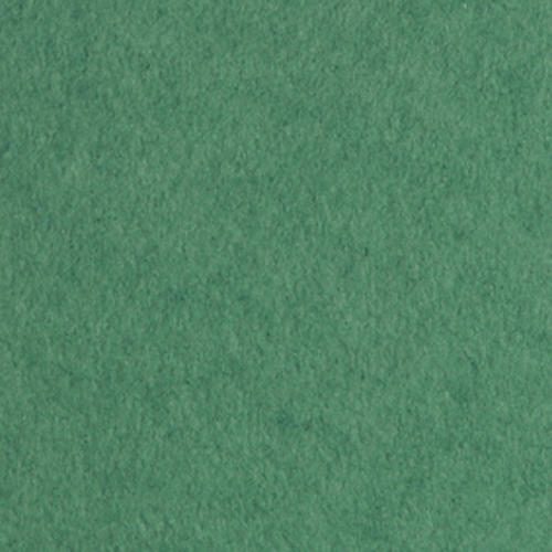 Бумага рисовальная 200 г/кв.м (А3) 297х420мм зеленая по 23.00 руб от Лилия Холдинг