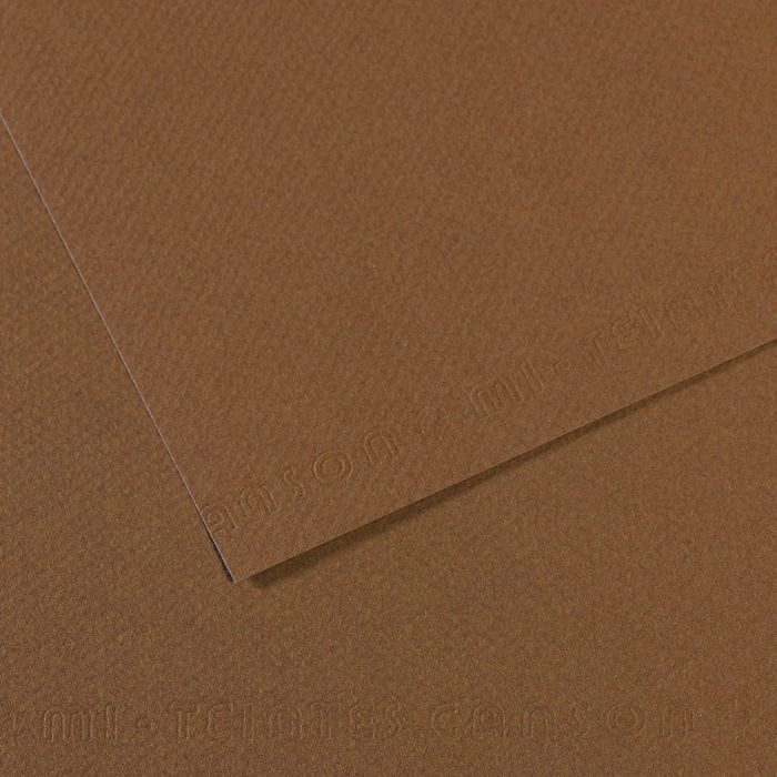 Бумага для пастели MI-TEINTES 160г/кв.м 500х650мм цв.№133 сепия по 105.00 руб от Canson