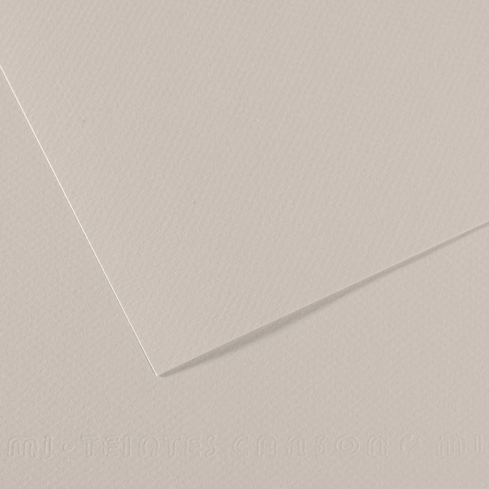 Бумага для пастели MI-TEINTES 160г/кв.м 500х650мм цв.№120 жемчужно-серый по 132.00 руб от Canson