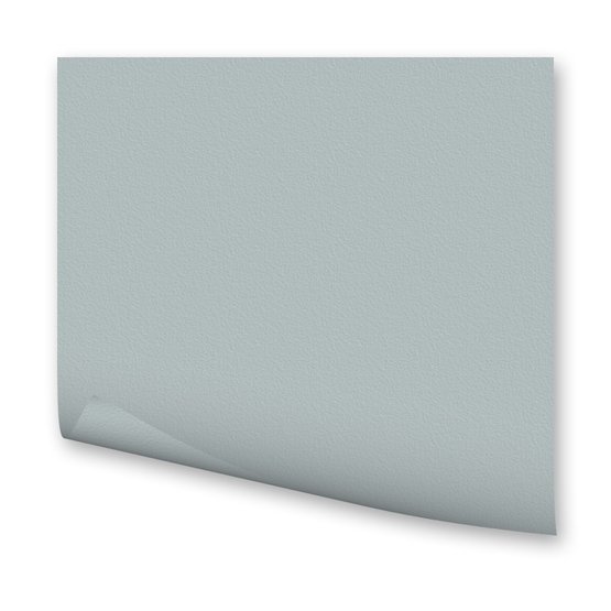 Бумага цветная 300г/кв.м (А4) 210х297мм серебрянный по 43.00 руб от Folia Bringmann