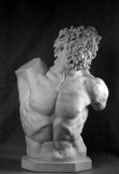 Гипсовая фигура бюст Лаокоона, 90см по 9 900.00 руб от Статуя