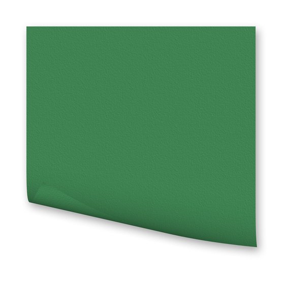 Бумага цветная 300г/кв.м 500х700мм зеленый мох по 118.00 руб от Folia Bringmann