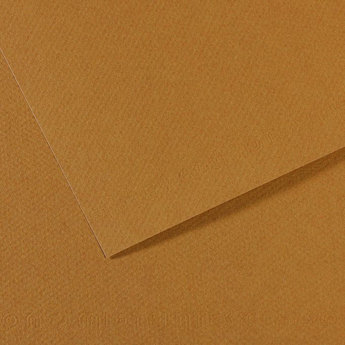 Бумага для пастели MI-TEINTES 160г/кв.м 500х650мм цв.№336 коричневый по 105.00 руб от Canson