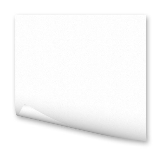 Бумага цветная 300г/кв.м (А4) 210х297мм белый по 29.00 руб от Folia Bringmann