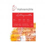 Альбом для акварели ALLEGRETTO 150г/кв.м (А4) 210х297мм 10л. по 601.00 руб от Hahnemuhle
