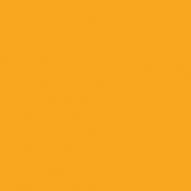 Бумага цветная 300г/кв.м (А4) 210х297мм желтый темный по 35.00 руб от Folia Bringmann
