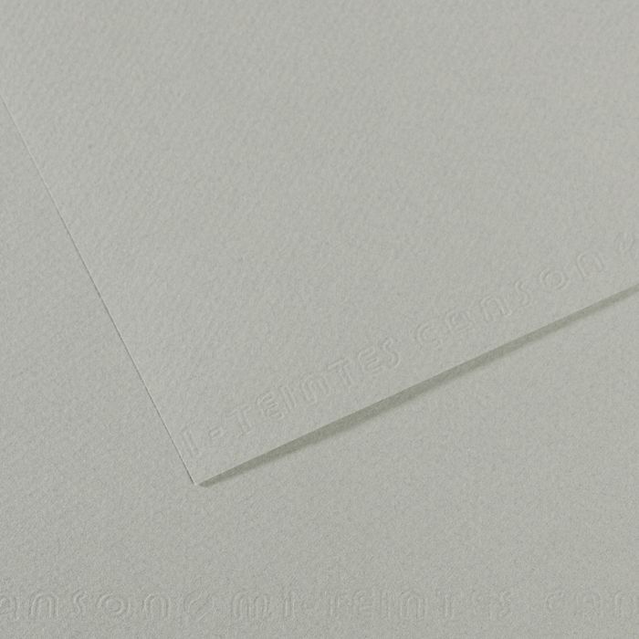 Бумага для пастели MI-TEINTES 160г/кв.м (А4) 210х297мм цв.№354 серое небо по 20.00 руб от Canson