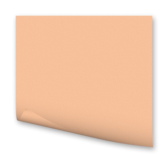 Бумага цветная 300г/кв.м 500х700мм абрикос по 118.00 руб от Folia Bringmann