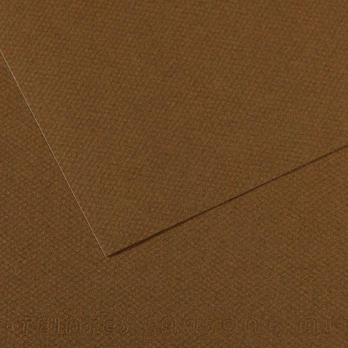 Бумага для пастели MI-TEINTES 160г/кв.м 500х650мм цв.№501 каштановый по 105.00 руб от Canson