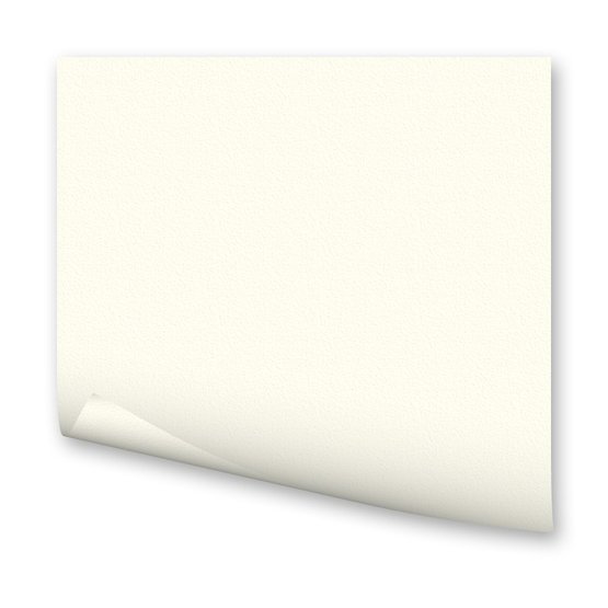 Бумага цветная 300г/кв.м 500х700мм жемчужно белый по 118.00 руб от Folia Bringmann
