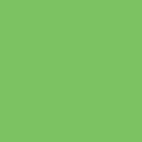 Бумага цветная 300г/кв.м (А4) 210х297мм светло-зеленый по 29.00 руб от Folia Bringmann