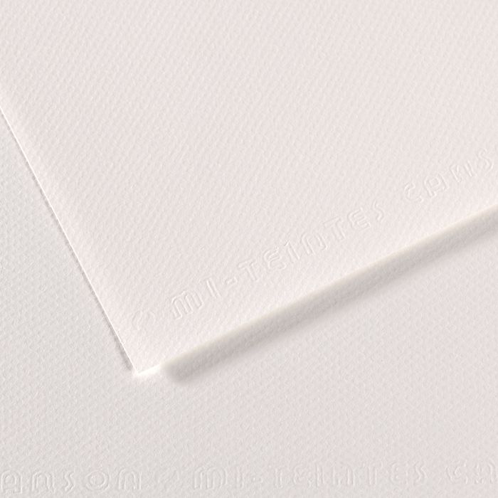 Бумага для пастели MI-TEINTES 160г/кв.м 500х650мм цв.№335 белый по 105.00 руб от Canson