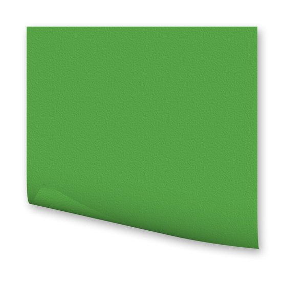 Бумага цветная 300г/кв.м 500х700мм зеленый травяной по 118.00 руб от Folia Bringmann