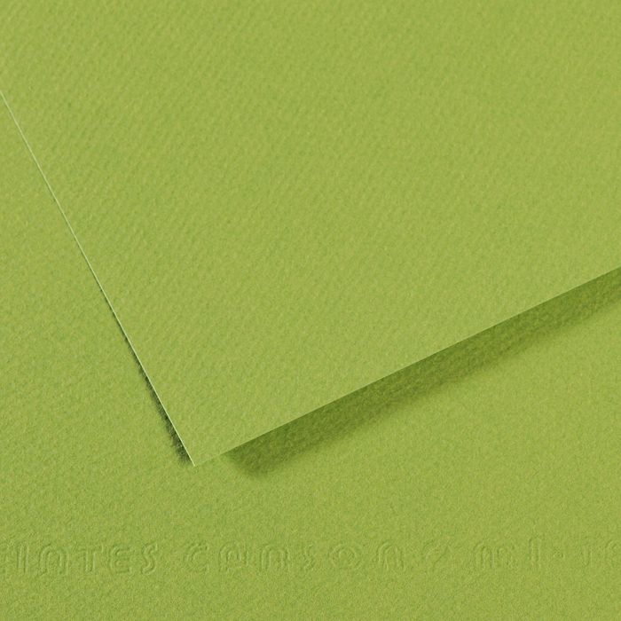 Бумага для пастели MI-TEINTES 160г/кв.м (А4) 210х297мм цв.№475 насыщенный зеленый по 20.00 руб от Canson