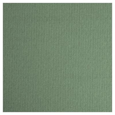 Бумага пастельная COLOURS 160г/кв.м 500х650мм цв.№481 зеленая желчь по 143.00 руб от Lana