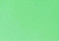 Бумага цветная 300г/кв.м (А4) 210х297мм зеленый изумрудный по 35.00 руб от Folia Bringmann