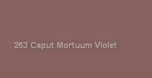 Карандаш акварельный ALBRECHT DURER цв.№263 капут мортум фиолетовый по 167.00 руб от Faber-Castell
