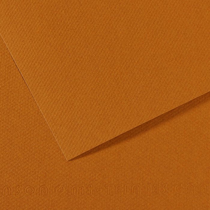 Бумага для пастели MI-TEINTES 160г/кв.м 500х650мм цв.№502 светло-коричневый по 105.00 руб от Canson
