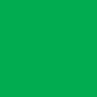 Краска по шелку DECOLA цв.№717 зеленый светлый банка 50мл