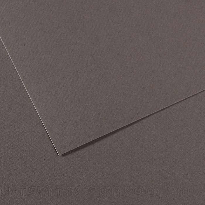 Бумага для пастели MI-TEINTES 160г/кв.м 750х1100мм цв.№345 серый темный по 260.00 руб от Canson