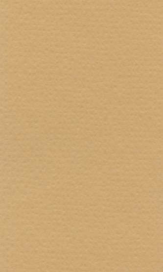 Бумага пастельная COLOURS 160г/кв.м 700х1000мм цв.№573 песочный по 240.00 руб от Lana