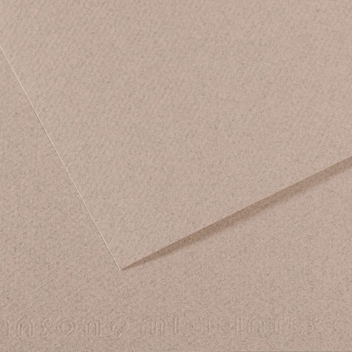 Бумага для пастели MI-TEINTES 160г/кв.м (А4) 210х297мм цв.№426 светло-серый по 20.00 руб от Canson