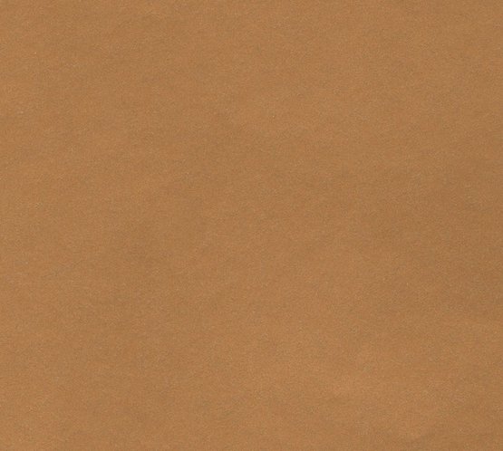 Бумага цветная 300г/кв.м (А4) 210х297мм светло-коричневый по 35.00 руб от Folia Bringmann