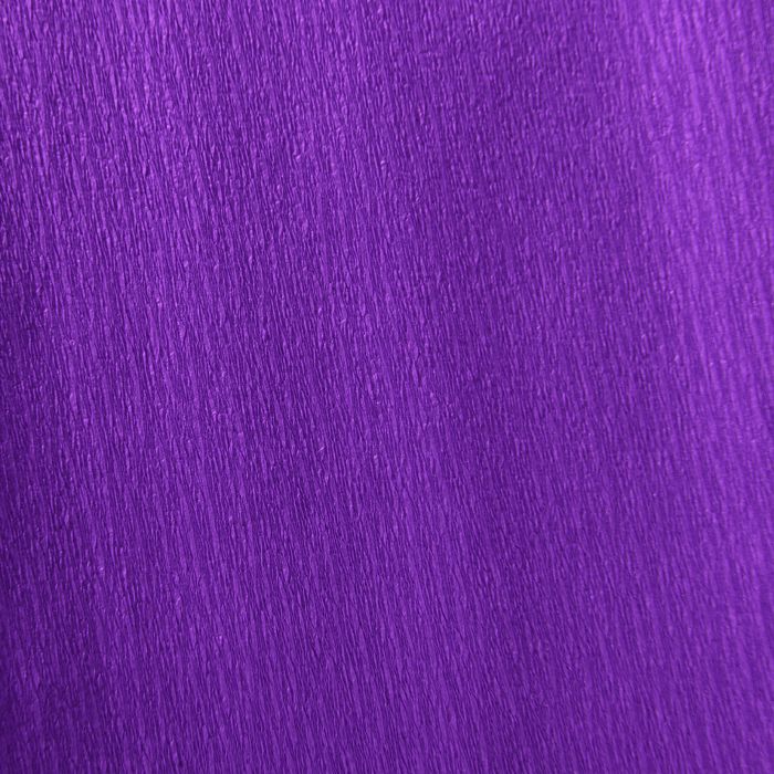 Бумага креп цветная STANDARD 32г/кв.м 500х2500мм в рулоне цв.№011 фиолетовый по 99.00 руб от Canson
