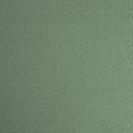 Бумага пастельная COLOURS 160г/кв.м 500х650мм цв.№486 серо-зеленый