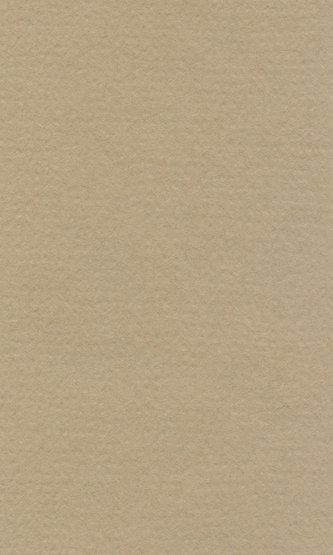 Бумага пастельная COLOURS 160г/кв.м 700х1000мм цв.№564 белый серый по 240.00 руб от Lana